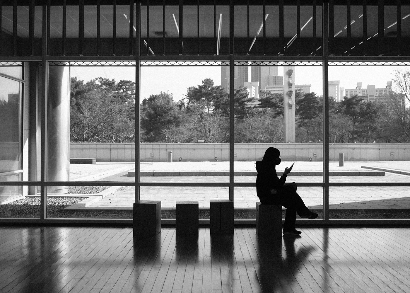 A silhouetted woman looking at her phone while seated on a wooden block before tall museum windows, trees and apartment towers outside