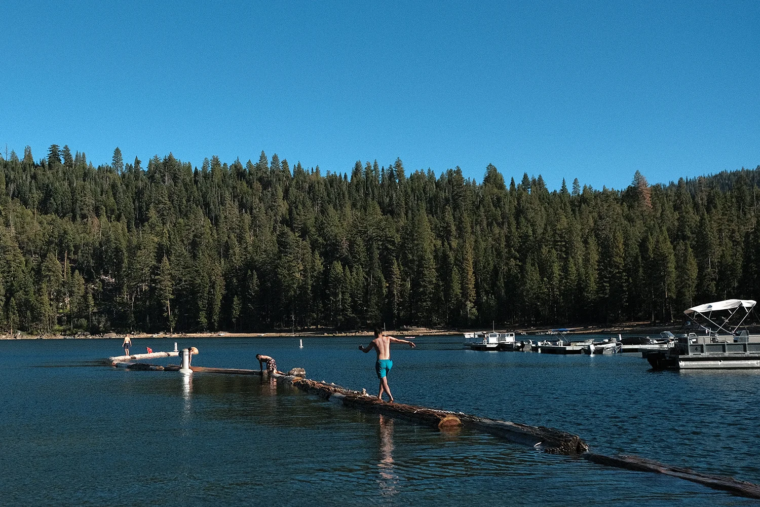 A shirtless man balancing on a floating log boom across the lake, with pontoon boats and a pine forest behind