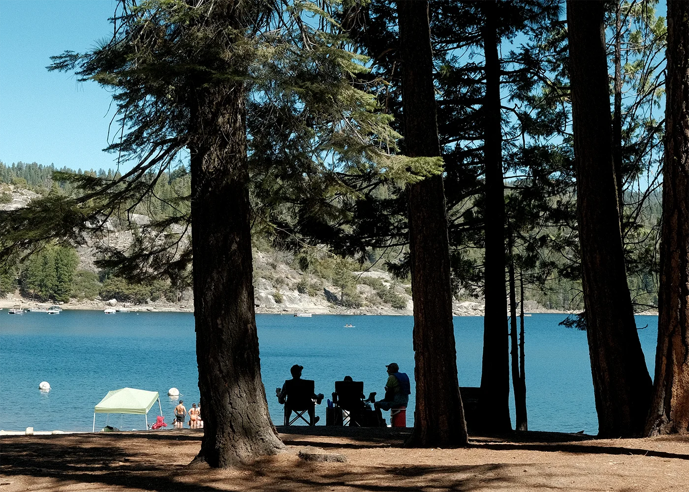 Three people in camp chairs silhouetted between tall pine trunks, looking out at the blue lake